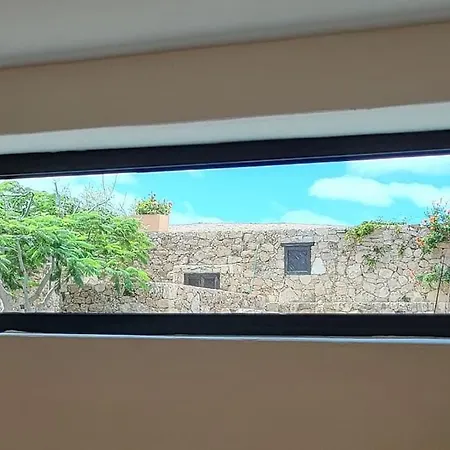Wombat Elegance Tu Casa Tindaya